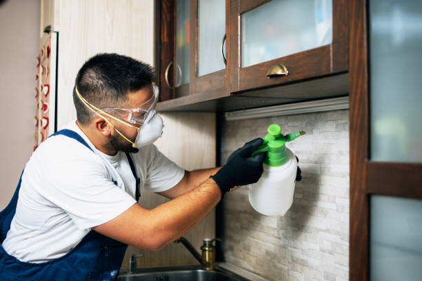 Best Termite Control Services  in Fairfax, SC