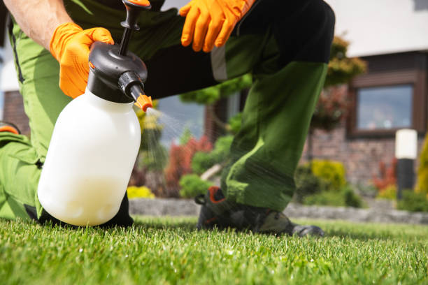Best Pest Control Treatment  in Fairfax, SC