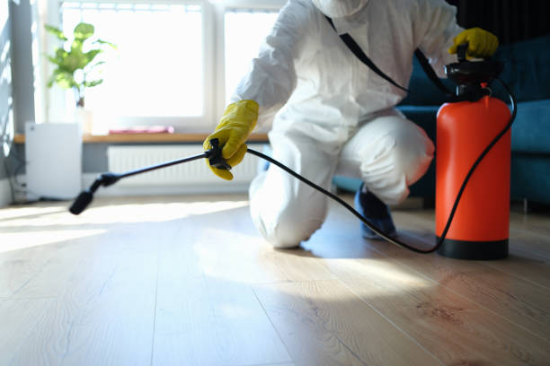 Flea Control Services in Fairfax, SC