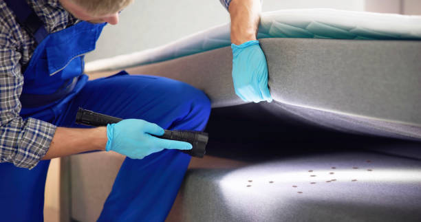 Best Mosquito Control Services  in Fairfax, SC