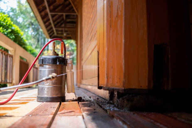 Best Local Pest Control Services  in Fairfax, SC