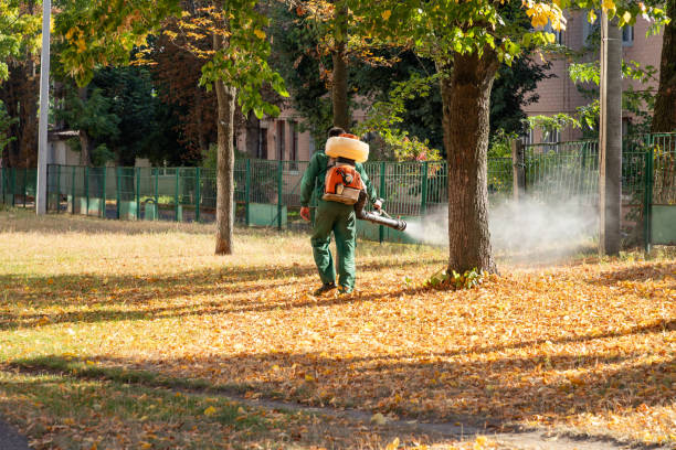 Best Cockroach Control Services  in Fairfax, SC