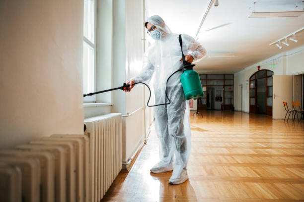 Best Bed Bug Extermination  in Fairfax, SC