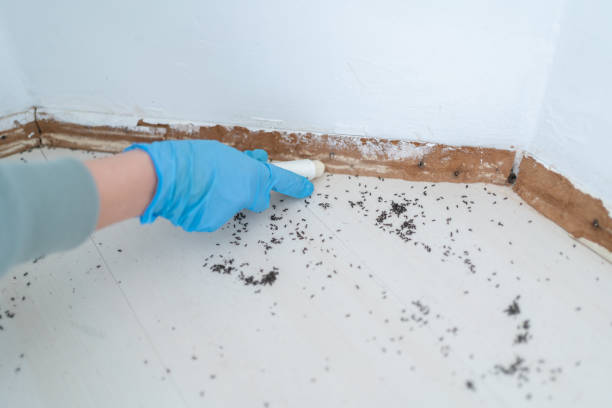 Best Wildlife Control Services  in Fairfax, SC