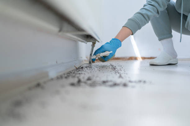 Best Pest Inspection Near Me  in Fairfax, SC