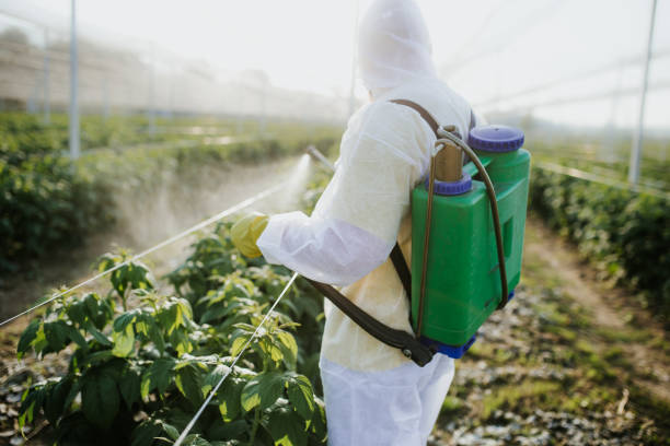 Fairfax, SC Pest Control Pros